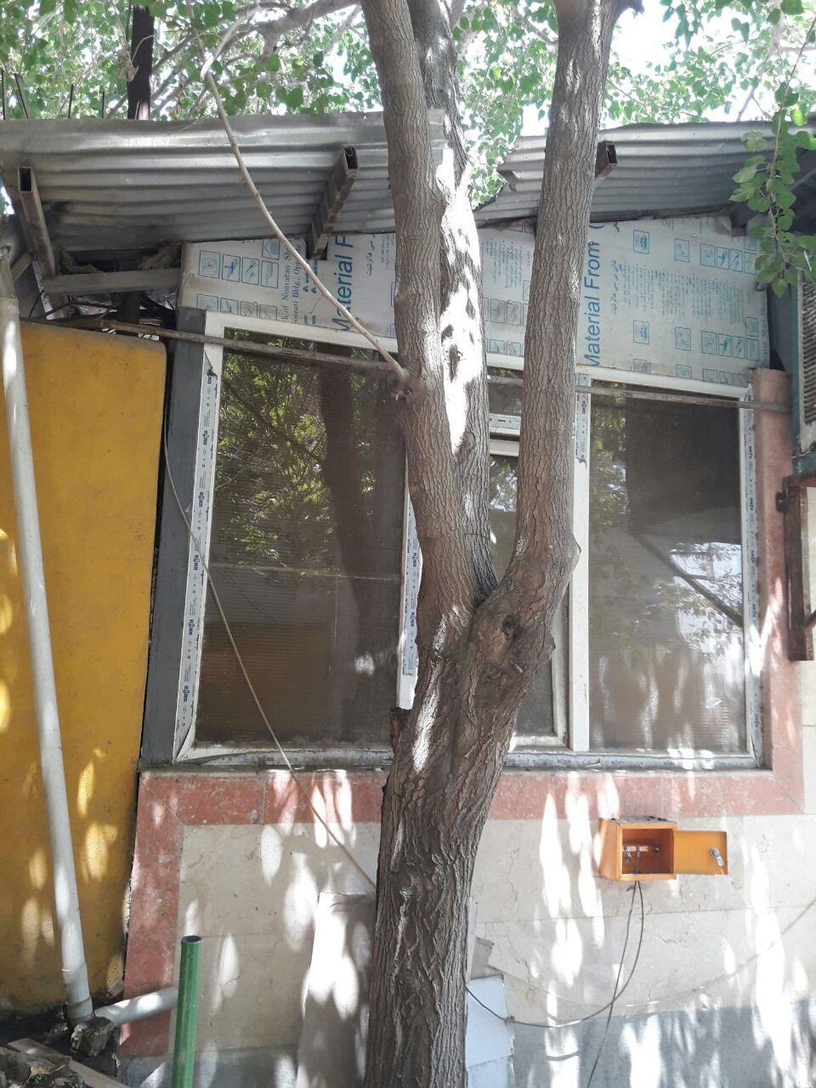 هادی ارت در پای دیوار یک ساختمان کوچک کنار درخت
